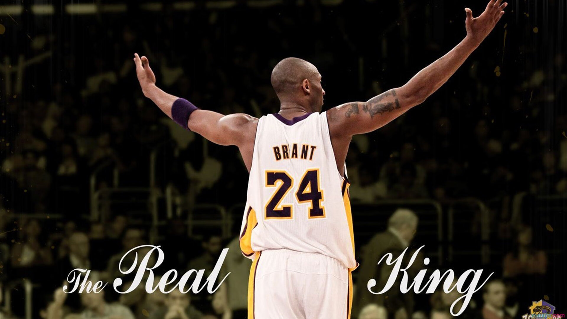 主场之战精彩激烈,比赛热度高涨令人期待,主场迎战什么意思